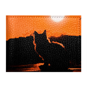 Обложка для студенческого билета с принтом Котенок на фоне заката в Кировске, натуральная кожа | Размер: 11*8 см; Печать на всей внешней стороне | закат | кот | котенок | кошка | солнце