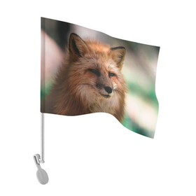 Флаг для автомобиля с принтом Строгая лисица в Кировске, 100% полиэстер | Размер: 30*21 см | fox | foxy | животное | звери | лиса | лисенок | лисичка | милая | рыжая | фокс