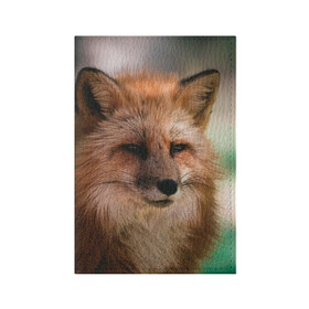 Обложка для паспорта матовая кожа с принтом Строгая лисица в Кировске, натуральная матовая кожа | размер 19,3 х 13,7 см; прозрачные пластиковые крепления | fox | foxy | животное | звери | лиса | лисенок | лисичка | милая | рыжая | фокс