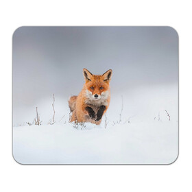 Коврик для мышки прямоугольный с принтом Лисица прыгает по снегу в Кировске, натуральный каучук | размер 230 х 185 мм; запечатка лицевой стороны | Тематика изображения на принте: fox | foxy | животное | звери | лиса | лисенок | лисичка | милая | рыжая | фокс