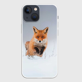 Чехол для iPhone 13 mini с принтом Лисица прыгает по снегу в Кировске,  |  | fox | foxy | животное | звери | лиса | лисенок | лисичка | милая | рыжая | фокс