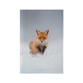 Обложка для паспорта матовая кожа с принтом Лисица прыгает по снегу в Кировске, натуральная матовая кожа | размер 19,3 х 13,7 см; прозрачные пластиковые крепления | fox | foxy | животное | звери | лиса | лисенок | лисичка | милая | рыжая | фокс