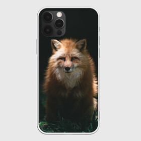 Чехол для iPhone 12 Pro Max с принтом Хитрый Лис в Кировске, Силикон |  | animals | beast | forest | fox | nature | orange | predator | red | животные | зверь | лес | лис | лиса | лисица | лисичка | природа | рыжая | рыжий | фыр | хитрый | хищник