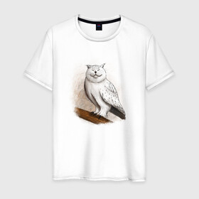 Мужская футболка хлопок с принтом Кот сова нарисованная в Кировске, 100% хлопок | прямой крой, круглый вырез горловины, длина до линии бедер, слегка спущенное плечо. | cat | owl | кот | рисунок | сова