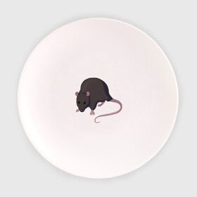 Тарелка с принтом Чёрная крыса в Кировске, фарфор | диаметр - 210 мм
диаметр для нанесения принта - 120 мм | Тематика изображения на принте: rat | грызуны | животные | крысы | притомцы