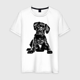 Мужская футболка хлопок с принтом Собака в Кировске, 100% хлопок | прямой крой, круглый вырез горловины, длина до линии бедер, слегка спущенное плечо. | doggy | puppy | домашнее животное | собака | щенок
