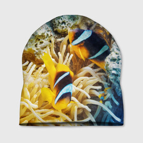 Шапка 3D с принтом Морской мир в Кировске, 100% полиэстер | универсальный размер, печать по всей поверхности изделия | вода | море | морская вода | морские животные | морские жители | морской мир | океан | рыбки | рыбы