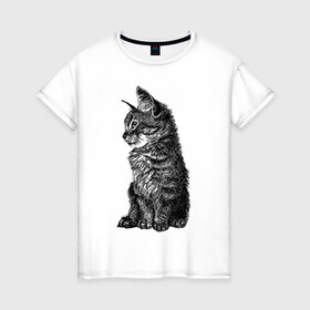 Женская футболка хлопок с принтом Котенок в Кировске, 100% хлопок | прямой крой, круглый вырез горловины, длина до линии бедер, слегка спущенное плечо | cat | kitty | кот | котенок | кошка | питомец