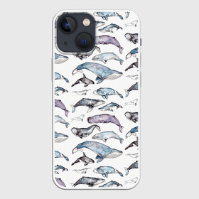 Чехол для iPhone 13 mini с принтом киты паттерн в Кировске,  |  | ocean | sea | sea animal | акварель | графика | касатка | киты | море | океан | рисунок кита