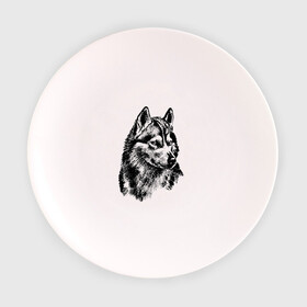 Тарелка с принтом Волк в Кировске, фарфор | диаметр - 210 мм
диаметр для нанесения принта - 120 мм | wolf | волк | животное | зверь | хищник