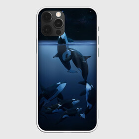 Чехол для iPhone 12 Pro Max с принтом касатки в Кировске, Силикон |  | ocean | orca | sea | sea animal | дельфин | касатка | кит | море | океан | рисунок кита