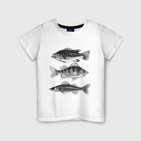 Детская футболка хлопок с принтом караси в Кировске, 100% хлопок | круглый вырез горловины, полуприлегающий силуэт, длина до линии бедер | ocean | sea | sea animal | графика | карась | море | океан | река | рисунок рыбы | рыба | рыбалка