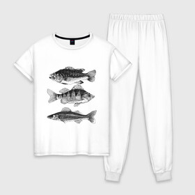Женская пижама хлопок с принтом караси в Кировске, 100% хлопок | брюки и футболка прямого кроя, без карманов, на брюках мягкая резинка на поясе и по низу штанин | ocean | sea | sea animal | графика | карась | море | океан | река | рисунок рыбы | рыба | рыбалка