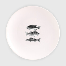 Тарелка с принтом караси в Кировске, фарфор | диаметр - 210 мм
диаметр для нанесения принта - 120 мм | Тематика изображения на принте: ocean | sea | sea animal | графика | карась | море | океан | река | рисунок рыбы | рыба | рыбалка
