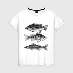 Женская футболка хлопок с принтом караси в Кировске, 100% хлопок | прямой крой, круглый вырез горловины, длина до линии бедер, слегка спущенное плечо | Тематика изображения на принте: ocean | sea | sea animal | графика | карась | море | океан | река | рисунок рыбы | рыба | рыбалка