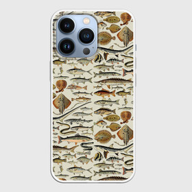 Чехол для iPhone 13 Pro с принтом рыбный паттерн в Кировске,  |  | Тематика изображения на принте: ocean | sea | киты | море | морские мотивы | морской принт | морской фон | океан | паттерн | рыбы | текстуры