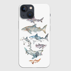 Чехол для iPhone 13 mini с принтом акулы в Кировске,  |  | ocean | sea | sea animal | акварель | акула | море | океан | рисунок