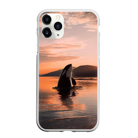 Чехол для iPhone 11 Pro матовый с принтом касатки на закате в Кировске, Силикон |  | ocean | orca | sea | sea animal | дельфин | закат | касатка | кит | море | океан | рисунок кита