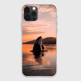 Чехол для iPhone 12 Pro Max с принтом касатки на закате в Кировске, Силикон |  | Тематика изображения на принте: ocean | orca | sea | sea animal | дельфин | закат | касатка | кит | море | океан | рисунок кита
