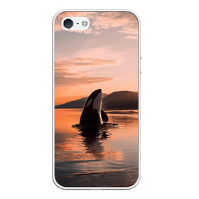 Чехол для iPhone 5/5S матовый с принтом касатки на закате в Кировске, Силикон | Область печати: задняя сторона чехла, без боковых панелей | Тематика изображения на принте: ocean | orca | sea | sea animal | дельфин | закат | касатка | кит | море | океан | рисунок кита