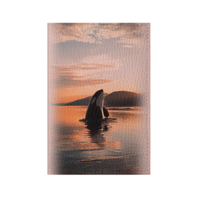 Обложка для паспорта матовая кожа с принтом касатки на закате в Кировске, натуральная матовая кожа | размер 19,3 х 13,7 см; прозрачные пластиковые крепления | Тематика изображения на принте: ocean | orca | sea | sea animal | дельфин | закат | касатка | кит | море | океан | рисунок кита