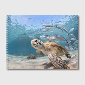 Альбом для рисования с принтом Морская черепаха в Кировске, 100% бумага
 | матовая бумага, плотность 200 мг. | Тематика изображения на принте: море | морская | океан | подводный мир | рыбы | черепаха