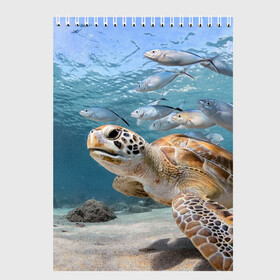 Скетчбук (блокнот) с принтом Морская черепаха в Кировске, 100% бумага
 | 48 листов, плотность листов — 100 г/м2, плотность картонной обложки — 250 г/м2. Листы скреплены сверху удобной пружинной спиралью | море | морская | океан | подводный мир | рыбы | черепаха