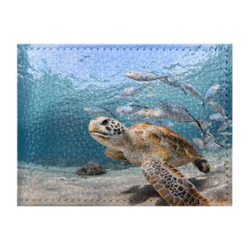 Обложка для студенческого билета с принтом Морская черепаха в Кировске, натуральная кожа | Размер: 11*8 см; Печать на всей внешней стороне | море | морская | океан | подводный мир | рыбы | черепаха