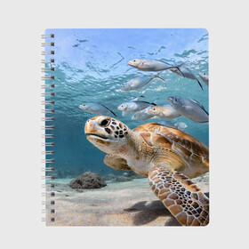 Тетрадь с принтом Морская черепаха в Кировске, 100% бумага | 48 листов, плотность листов — 60 г/м2, плотность картонной обложки — 250 г/м2. Листы скреплены сбоку удобной пружинной спиралью. Уголки страниц и обложки скругленные. Цвет линий — светло-серый
 | море | морская | океан | подводный мир | рыбы | черепаха