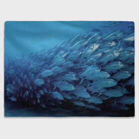 Плед 3D с принтом Морские рыбы в Кировске, 100% полиэстер | закругленные углы, все края обработаны. Ткань не мнется и не растягивается | косяк | море | океан | подводный мир | рыбки | рыбы