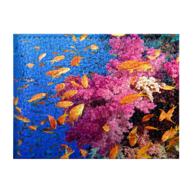 Обложка для студенческого билета с принтом Коралловые рыбки в Кировске, натуральная кожа | Размер: 11*8 см; Печать на всей внешней стороне | коралловые | море | океан | подводный мир | рифы | рыбки | рыбы
