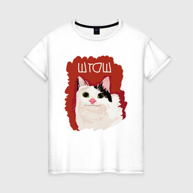 Женская футболка хлопок с принтом котик ШТОШ в Кировске, 100% хлопок | прямой крой, круглый вырез горловины, длина до линии бедер, слегка спущенное плечо | кот | меме | прикол | штош | юмор