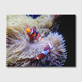 Альбом для рисования с принтом Клоуны в актинии в Кировске, 100% бумага
 | матовая бумага, плотность 200 мг. | актиния | клоуны | коралловые | море | подводный мир | рыбки