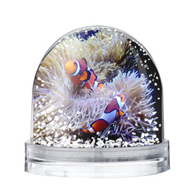 Игрушка Снежный шар с принтом Клоуны в актинии в Кировске, Пластик | Изображение внутри шара печатается на глянцевой фотобумаге с двух сторон | актиния | клоуны | коралловые | море | подводный мир | рыбки