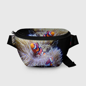 Поясная сумка 3D с принтом Клоуны в актинии в Кировске, 100% полиэстер | плотная ткань, ремень с регулируемой длиной, внутри несколько карманов для мелочей, основное отделение и карман с обратной стороны сумки застегиваются на молнию | актиния | клоуны | коралловые | море | подводный мир | рыбки