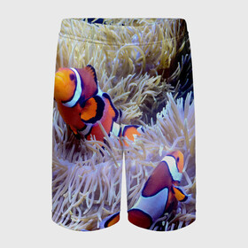 Детские спортивные шорты 3D с принтом Клоуны в актинии в Кировске,  100% полиэстер
 | пояс оформлен широкой мягкой резинкой, ткань тянется
 | Тематика изображения на принте: актиния | клоуны | коралловые | море | подводный мир | рыбки
