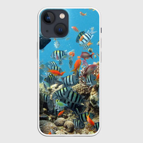 Чехол для iPhone 13 mini с принтом Коралловые рыбки в Кировске,  |  | коралловые | кораллы | море | подводный мир | рыбки