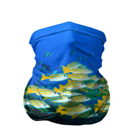 Бандана-труба 3D с принтом Коралловые рыбки в Кировске, 100% полиэстер, ткань с особыми свойствами — Activecool | плотность 150‒180 г/м2; хорошо тянется, но сохраняет форму | коралловые | кораллы | море | морские обитатели | океан | подводный мир | рыбки
