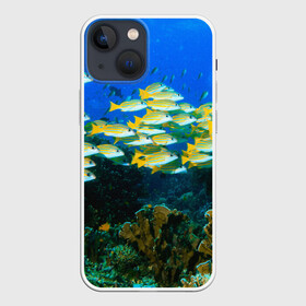 Чехол для iPhone 13 mini с принтом Коралловые рыбки в Кировске,  |  | коралловые | кораллы | море | морские обитатели | океан | подводный мир | рыбки