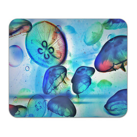 Коврик для мышки прямоугольный с принтом Медузы в море в Кировске, натуральный каучук | размер 230 х 185 мм; запечатка лицевой стороны | медуза | медузы | море | морская фауна | морские жители | подводный мир