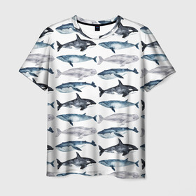 Мужская футболка 3D с принтом киты в Кировске, 100% полиэфир | прямой крой, круглый вырез горловины, длина до линии бедер | ocean | sea | касатки | киты | море | морские мотивы | морской принт | морской фон | океан | паттерн | рыбы | текстуры