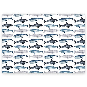 Поздравительная открытка с принтом киты в Кировске, 100% бумага | плотность бумаги 280 г/м2, матовая, на обратной стороне линовка и место для марки
 | Тематика изображения на принте: ocean | sea | касатки | киты | море | морские мотивы | морской принт | морской фон | океан | паттерн | рыбы | текстуры