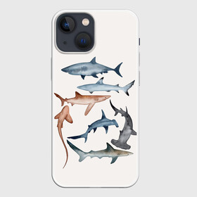 Чехол для iPhone 13 mini с принтом акулы в Кировске,  |  | ocean | sea | sea animal | акулы | графика | море | океан | рисунок