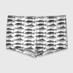 Мужские купальные плавки 3D с принтом рыбки в Кировске, Полиэстер 85%, Спандекс 15% |  | ocean | sea | киты | море | морской принт | морской фон | океан | паттерн | рыбы | текстуры