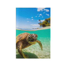 Обложка для паспорта матовая кожа с принтом Морская черепашка в Кировске, натуральная матовая кожа | размер 19,3 х 13,7 см; прозрачные пластиковые крепления | Тематика изображения на принте: отдых | пляж | черепашка под водой