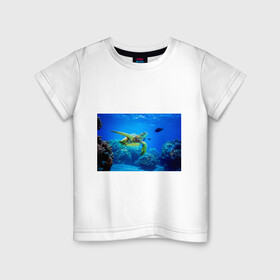 Детская футболка хлопок с принтом Морская черепаха в Кировске, 100% хлопок | круглый вырез горловины, полуприлегающий силуэт, длина до линии бедер | морская черепаха | океан | подводный мир | черепаха