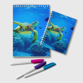 Блокнот с принтом Морская черепаха в Кировске, 100% бумага | 48 листов, плотность листов — 60 г/м2, плотность картонной обложки — 250 г/м2. Листы скреплены удобной пружинной спиралью. Цвет линий — светло-серый
 | морская черепаха | океан | подводный мир | черепаха