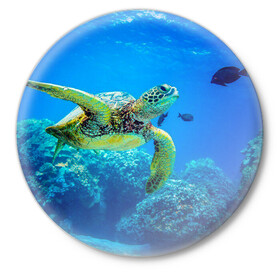 Значок с принтом Морская черепаха в Кировске,  металл | круглая форма, металлическая застежка в виде булавки | морская черепаха | океан | подводный мир | черепаха