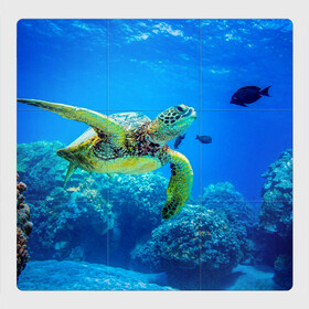 Магнитный плакат 3Х3 с принтом Морская черепаха в Кировске, Полимерный материал с магнитным слоем | 9 деталей размером 9*9 см | Тематика изображения на принте: морская черепаха | океан | подводный мир | черепаха