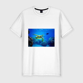 Мужская футболка хлопок Slim с принтом Морская черепаха в Кировске, 92% хлопок, 8% лайкра | приталенный силуэт, круглый вырез ворота, длина до линии бедра, короткий рукав | морская черепаха | океан | подводный мир | черепаха
